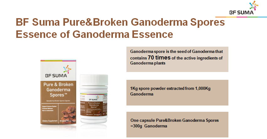 BF SUMA Pure & Broken Ganoderma Spores - Image 2