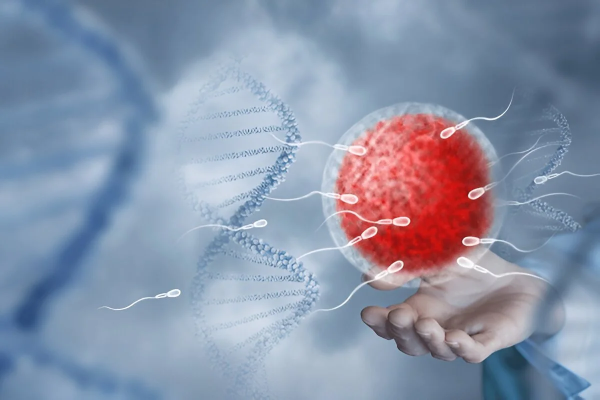 Medical illustration showing sperm approaching an egg