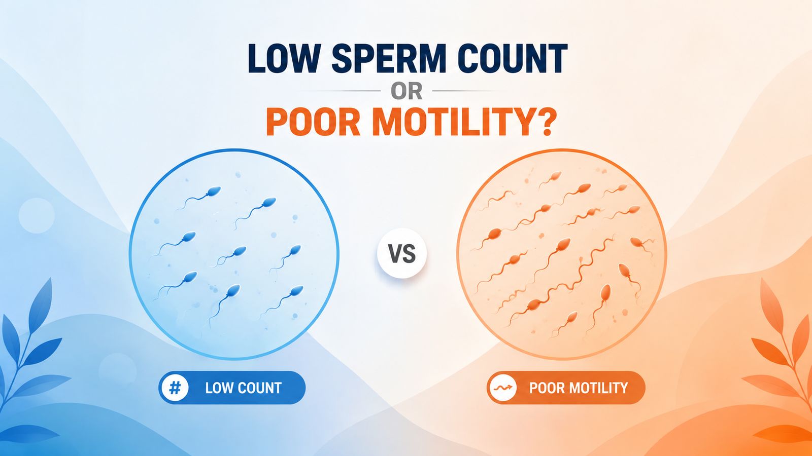 Educational comparison of low sperm count and poor sperm motility